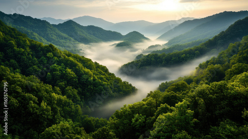 Tranquility, A serene early morning view of a misty mountain range, capturing the tranquility and beauty of nature in a picturesque landscape.