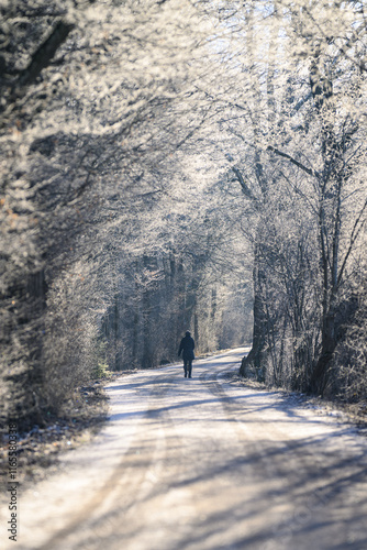 Allein im Winterland photo