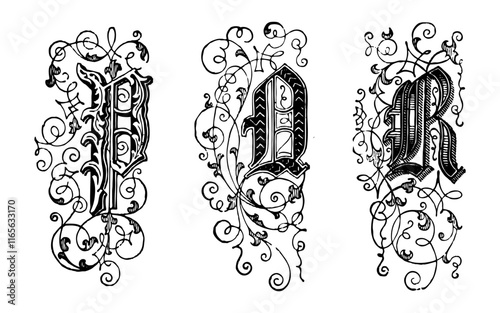 Ornamental Type Vector on Black Colour