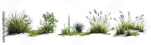 2d grass, Clipart Style, isolated on transparent background