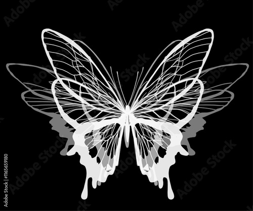 mariposa en us tres fases de aleteo