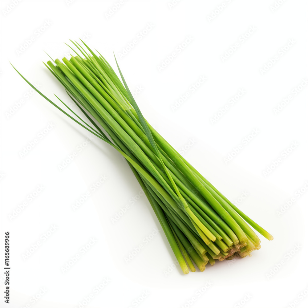 Fototapeta premium Fresh Green Lemongrass Stalks Bundle Isolated on White