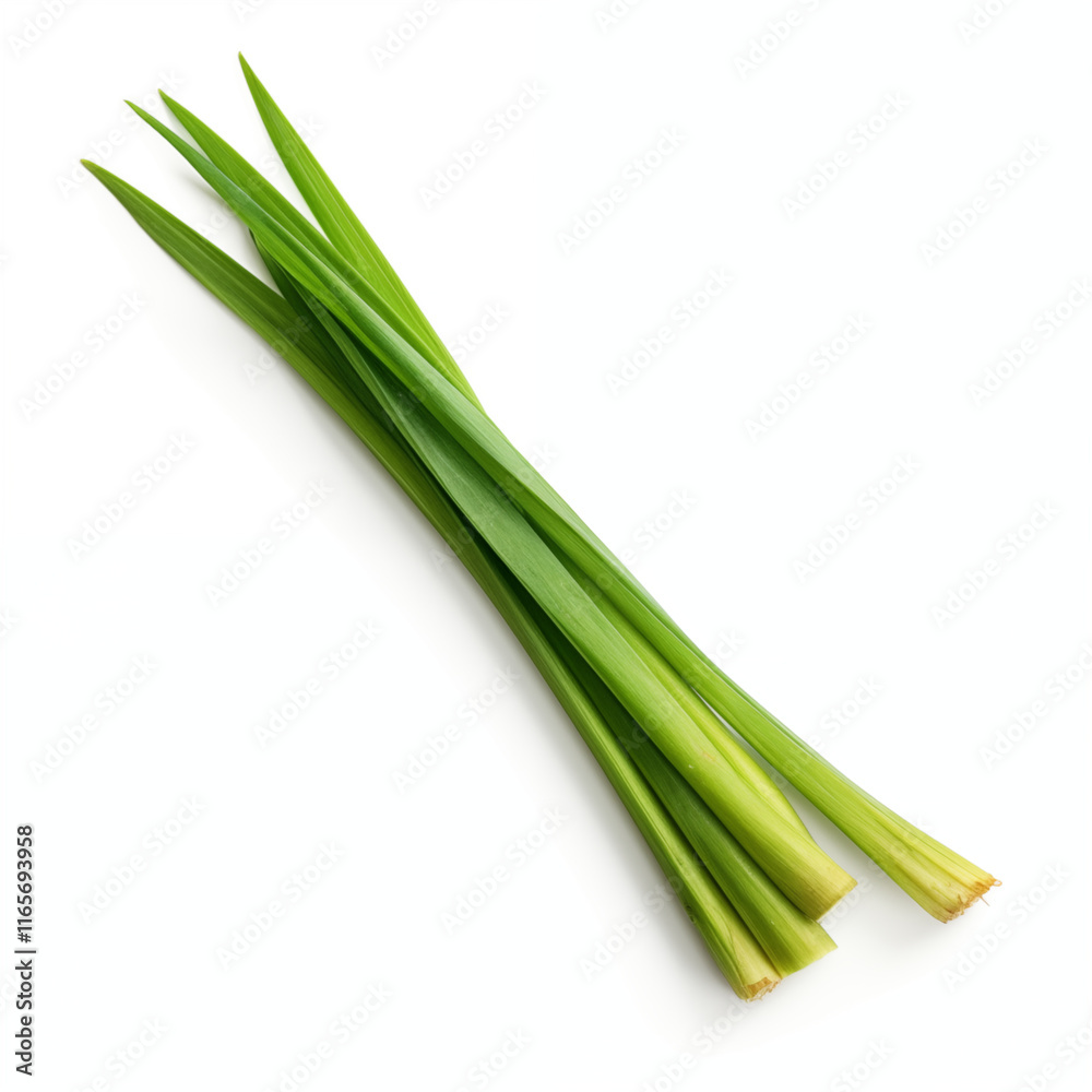 Fresh Pandan Leaves Green Herbal Plant Asian Cuisine Ingredient Fresh Pandan Leaves Green Herbal Plant Asian Cuisine Ingredient