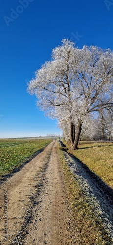 Cold Street