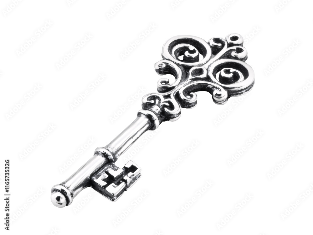 Isolated Ornate Silver Skeleton Key Isolated Ornate Silver Skeleton Key