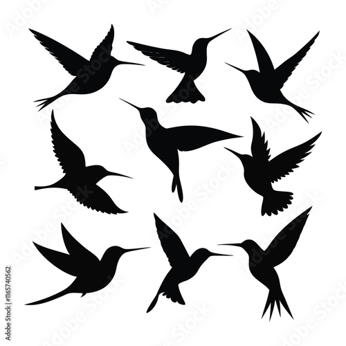 set of silhouettes of birds vector design