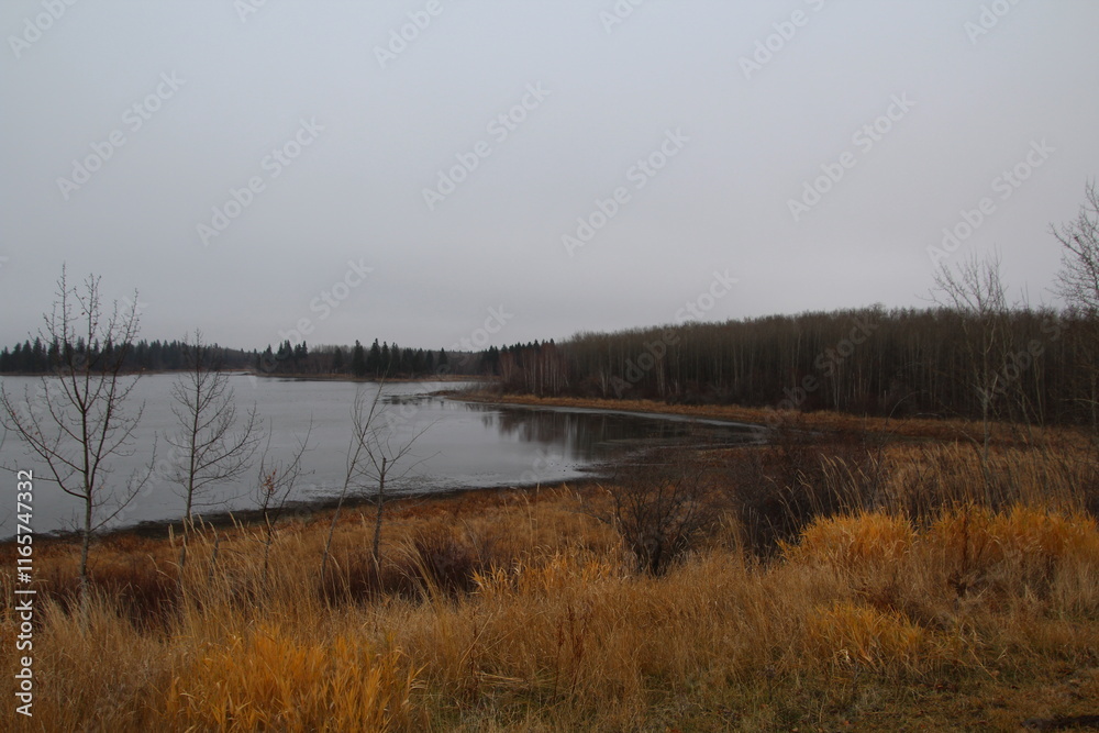 lake in the forest lake in the forest