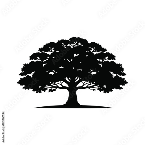 Oak tree silhouette isolated on white