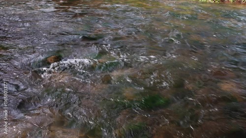 Stormy stream on the mountain river on a sunny day. Close up shot.