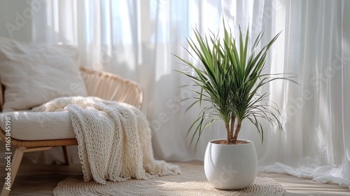 A beautifully styled indoor scene featuring a Dracaena Marginata plant in a sleek white ceramic pot