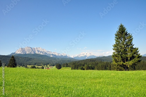 Buckelwiesen bei Mittenwald photo