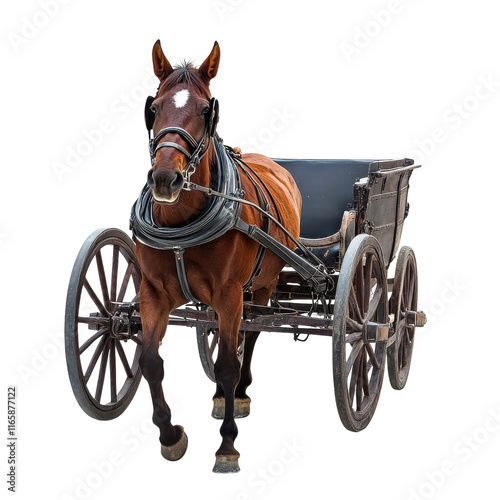Horse Drawn Carriage in Scenic Setting on transparent background