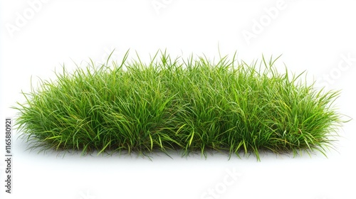 Fresh green lawn grass segments with natural texture and vibrant blades isolated on white background. Premium turf photography for landscaping and garden design visualization, cut out