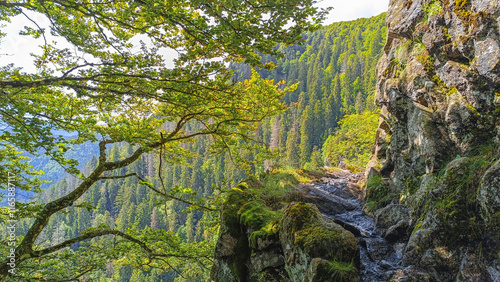 Sentier des Roches dans les Vosges massif du Hohneck - France 