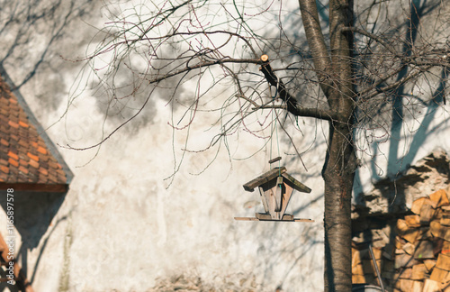 A charming wooden bird feeder is suspended from a leafless tree, contrasting with the textured wall behind, capturing the tranquility of winter afternoons photo