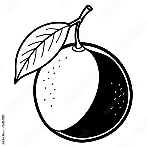 illustration of pear