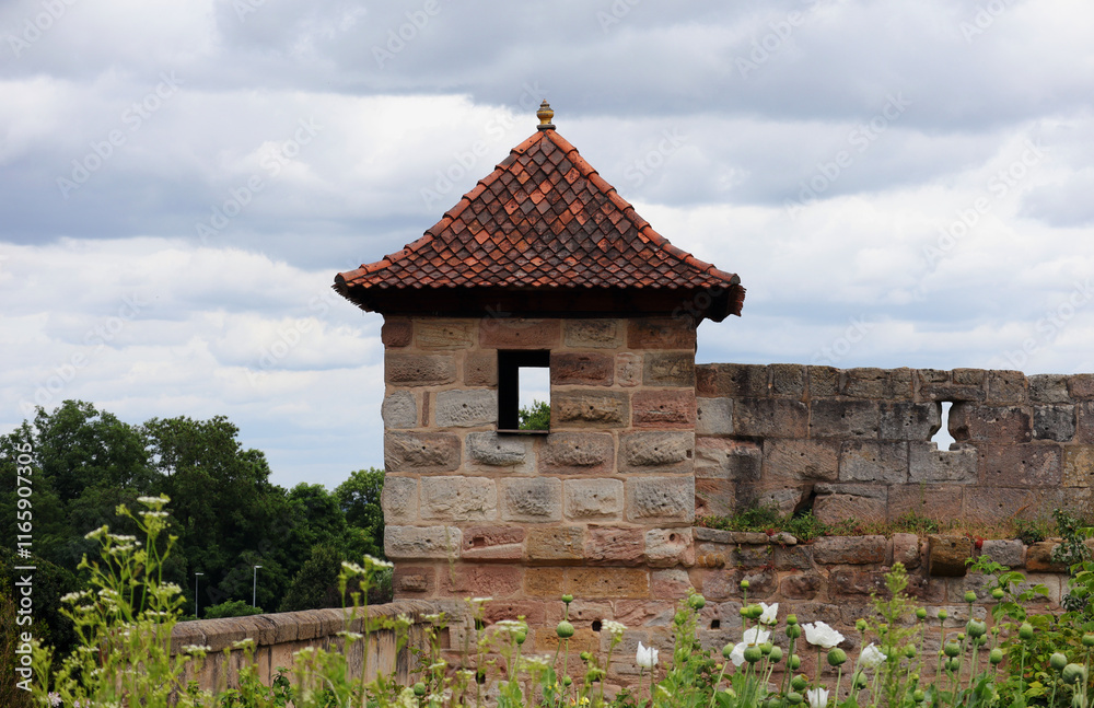 Fototapeta premium Burg, Turm, Burgmauer, Wehrturm