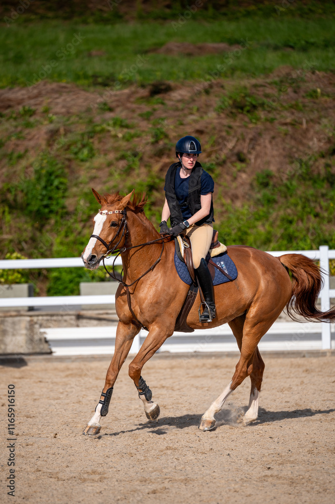 Woman riding a horse on the jumping race Woman riding a horse on the jumping race