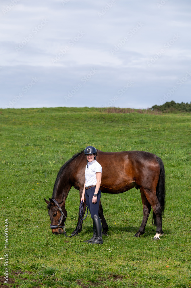 horse in the field eating with the rider horse in the field eating with the rider