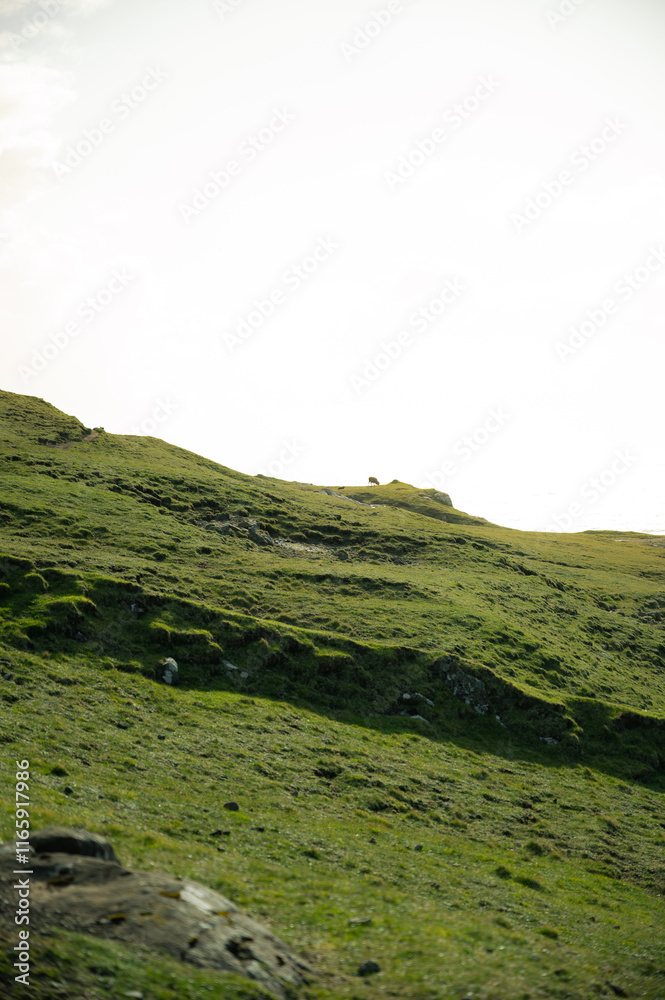 Naklejka premium landscape in the morning in Faroe Island