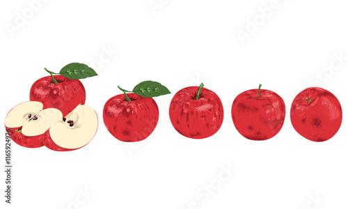  Fresh apple set. Nature fruit print design. Organic food artwork for for t-shirt. Fruit vintage t-shirt design. Sweet and juicy apple fruit artwork.