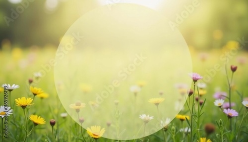 A beautiful meadow features a variety of wildflowers in bloom, showcasing different colors and shapes. The atmosphere is bright and serene, inviting tranquility. Copy space for text. Generative AI