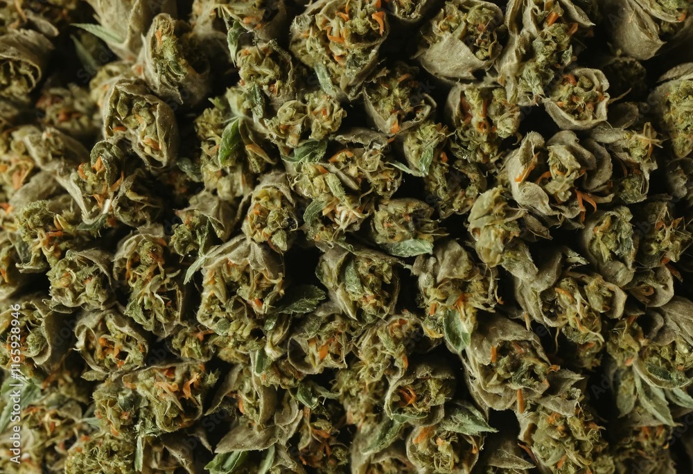 Close-up of dried, rolled marihuana clusters. Detailed texture and earthy tones. Close-up of dried, rolled marihuana clusters. Detailed texture and earthy tones.