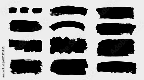 Vector Paint Brush Splash Set Grunge Stroke