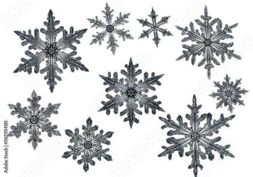Set of different snowflakes isolated on white background. Macro photo of real snow crystals. Generative AI