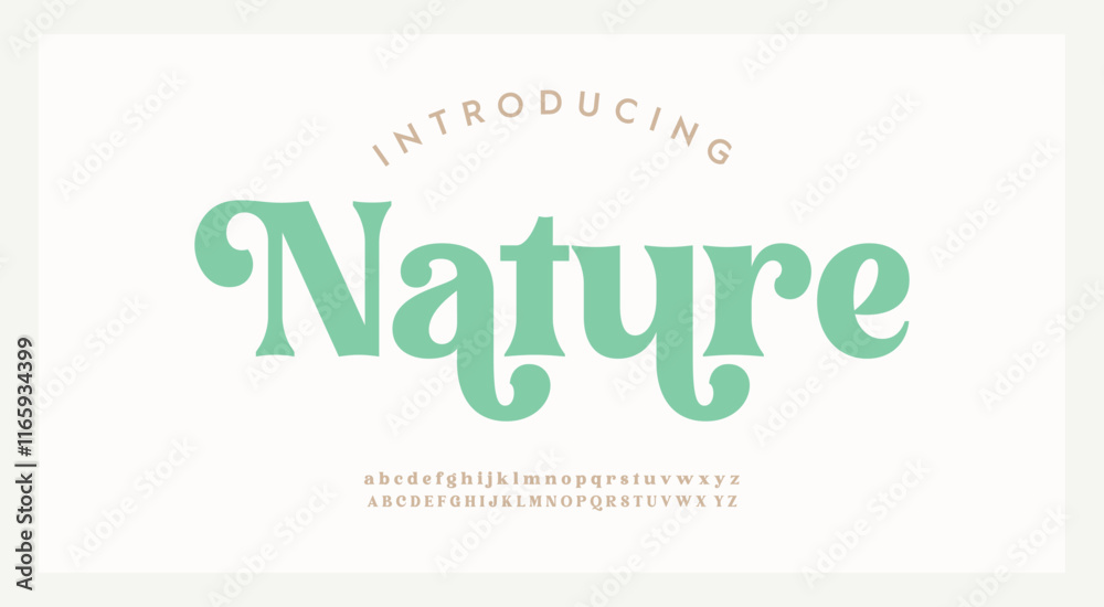 Luxury sans serif alphabet letters font and number. Classic Lettering Minimal Fashion Designs. Typography decorative wedding fonts and logo. vector illustration
Luxury sans serif alphabet letters font and number. Classic Lettering Minimal Fashion Designs. Typography decorative wedding fonts and logo. vector illustration