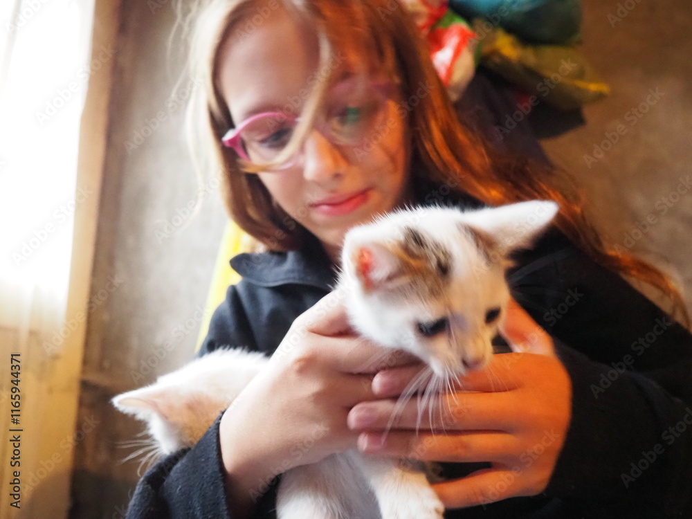 A white kitten joyfully interacts with a child's hands, showcasing playful behavior. The cozy indoor environment enhances the warmth of this delightful moment filled with laughter and fun. Two cats A white kitten joyfully interacts with a child's hands, showcasing playful behavior. The cozy indoor environment enhances the warmth of this delightful moment filled with laughter and fun. Two cats