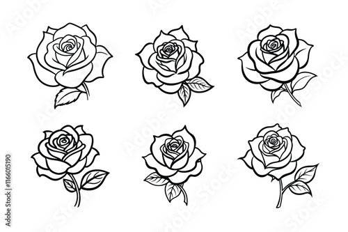 Rose flower vector line art illustration bundle