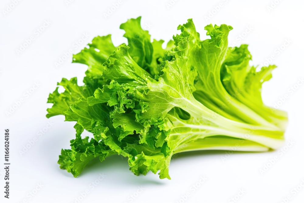 A head of lettuce sitting on a clean, white surface A head of lettuce sitting on a clean, white surface