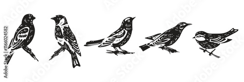 Black silhouettes of wild forest birds. Winter wild animal, tit, grosbeak, goldfinch, oriole. Isolated wild or garden chick of plain nature. Vector illustration. Collection of forest birds.