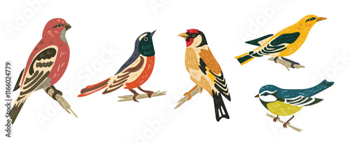 Wild forest birds. Winter wild animal, titmouse, grosbeak, goldfinch, oriole. Isolated wild or garden flat nature nestling. Vector illustration. Forest birds collection.