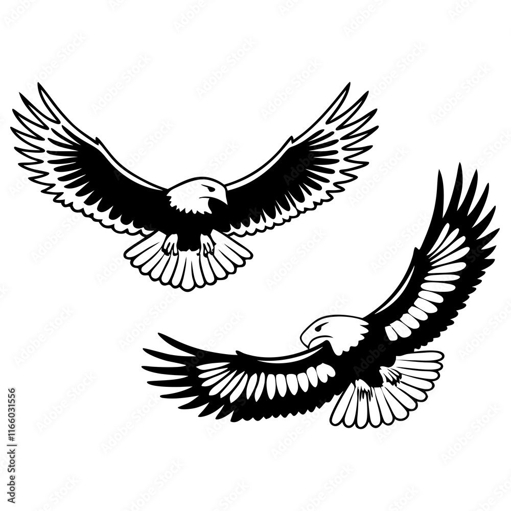 Obraz premium eagle with wings