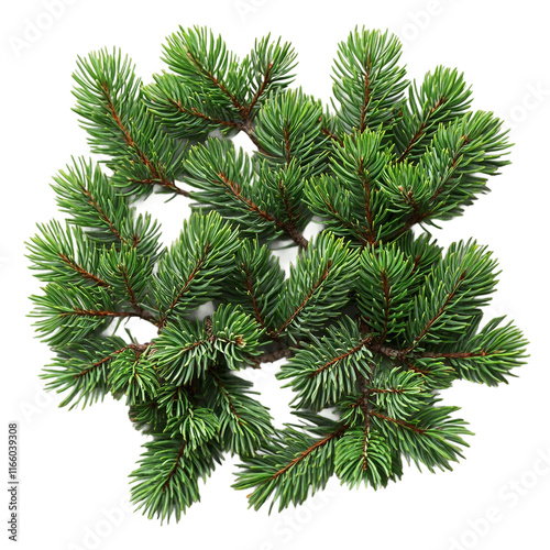 Realistic pine needles scattered naturally, with varying green tones on a transparent background. Scattered Pine Needles