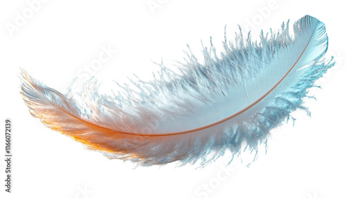 A soft, white feather gently falling on a transparent background, with intricate details on its fibers on a transparent background