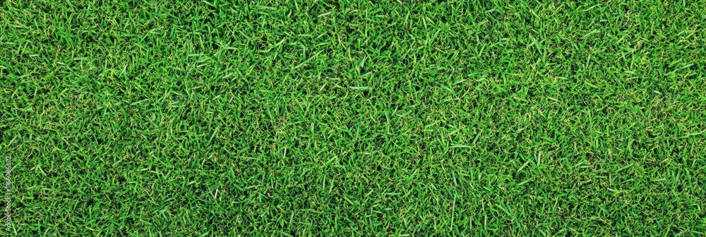 Fototapeta premium Lush green grass texture, seamless pattern, close-up view, vibrant lawn, sports field turf, natural background, detailed grass blades, fresh spring grass, golf course putting green, manicured lawn, hi