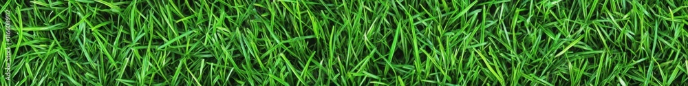 Lush green grass texture, seamless pattern, close-up view, vibrant lawn, sports field turf, natural background, detailed grass blades, fresh spring grass, golf course putting green, manicured lawn, hi Lush green grass texture, seamless pattern, close-up view, vibrant lawn, sports field turf, natural background, detailed grass blades, fresh spring grass, golf course putting green, manicured lawn, hi