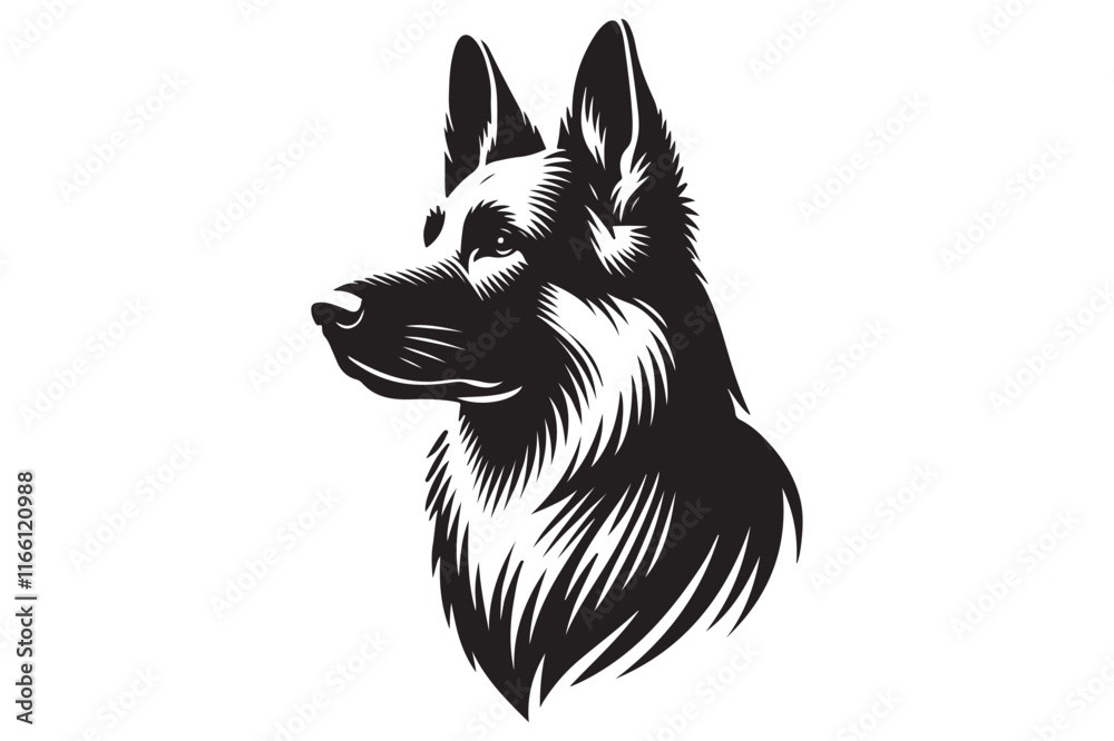 Obraz premium German Shepherd portrait