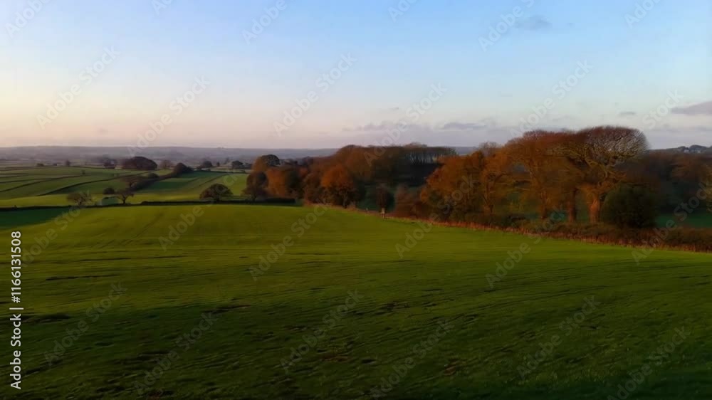 Soft evening light casting long shadows across green countryside fields. Soft evening light casting long shadows across green countryside fields.