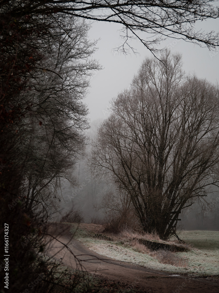 Obraz premium Melancholie 