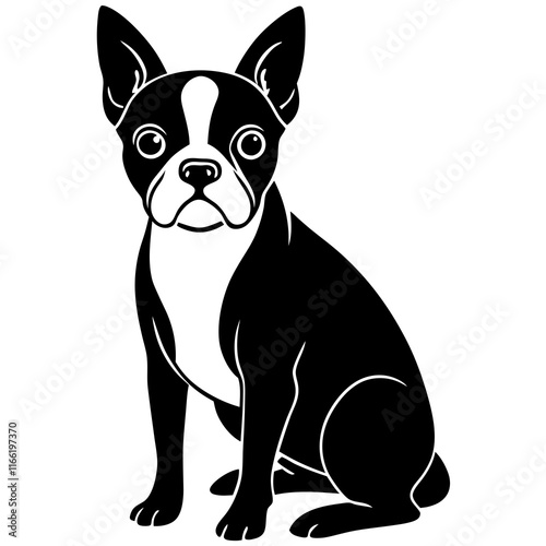 boston terrier Dog black silhouette vector, Simple silhouette Design vector icon with white background photo