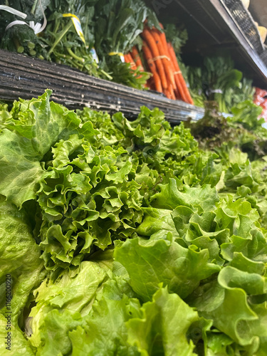 fresh lettuce at the store