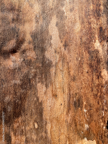 wooden background