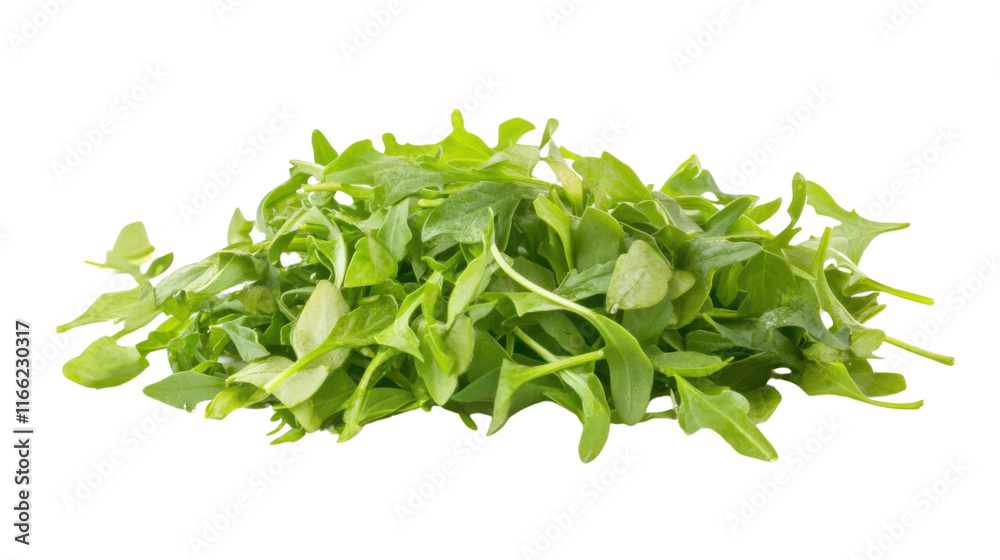 Freshly cut green herbs transparent background Freshly cut green herbs transparent background