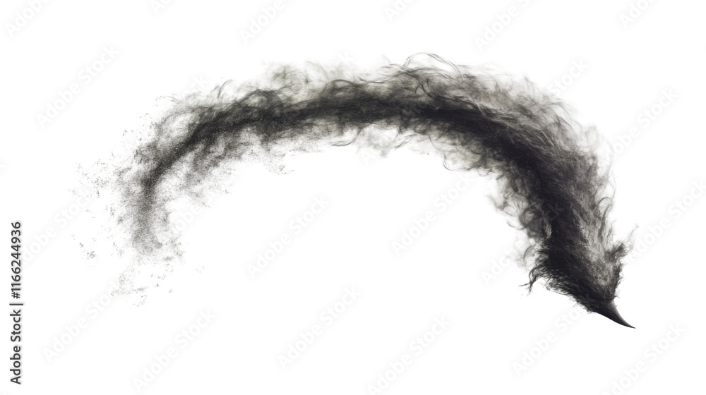 Dust devil spin transparent background Dust devil spin transparent background