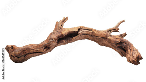 Old tree branch transparent background
