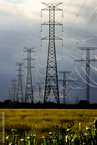 Campos dos Goytacazes, RJ, Brazil, 12/31/2024 - Electrical transmission towers and transmission lines in Campos' countryside, near Goytacazes district 